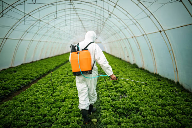 Trusted Ellisville, MO Pest Control Experts