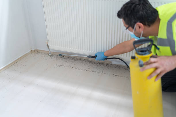 Best Pest Inspection Near Me  in Ellisville, MO